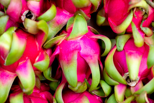 A vibrant assortment of ripe, ruby-red dragonfruits with lush, verdant stems arranged in an inviting pile on the ground