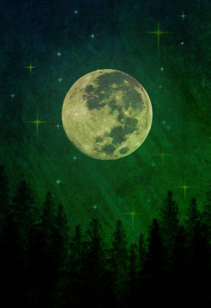 istock Full Moon over Forest at Night - Atmospheric Mood 1935448692