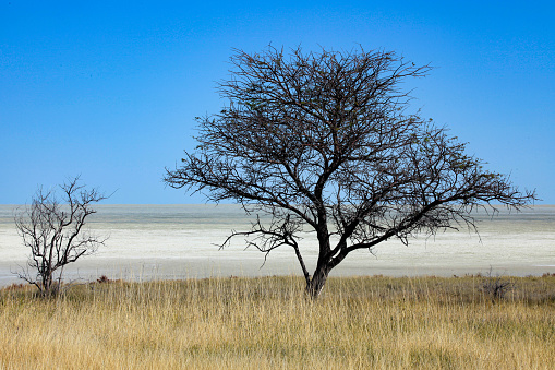 Namibia in its beauty