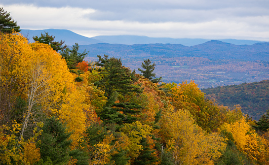 Autumn landscape Vermont green mountains bright colors and foliage.
