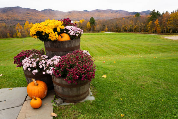 Fall Decorations overlooking a sweeping lawn and Vermont mountains in fall. Pumpkins mums
