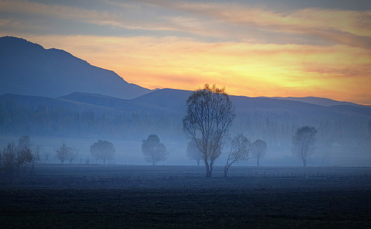 A magical and mystical mist-shrouded landscape of a field with a cluster of trees against the backdrop of dramatic mountains and a sunset.