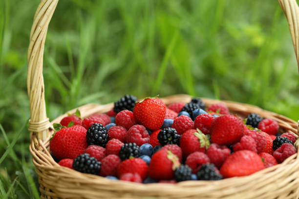 istock Wicker basket with different fresh ripe berries outdoors, closeup 1935514631