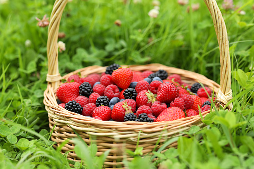 Wicker basket with different fresh ripe berries in green grass outdoors
