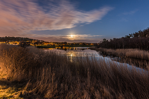 Long exposure night photo of a pond and reeds. Partly cloudy and moon..