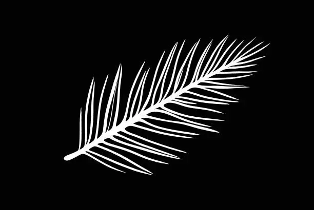 Vector illustration of vector stylized white pine leaf on a black background