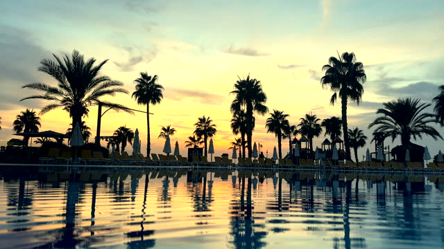 water sunset palm tree