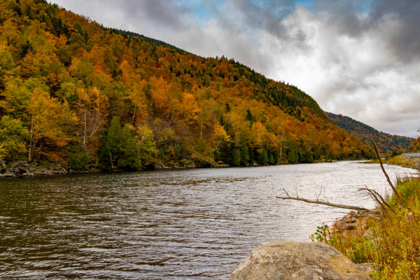 istock Autumnal leaf colour in Vermont, USA 1935530737