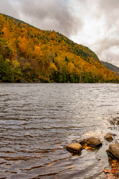 istock Autumnal leaf colour in Vermont, USA 1935534579