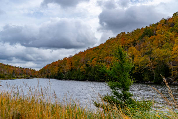 istock Autumnal leaf colour in Vermont, USA 1935538808