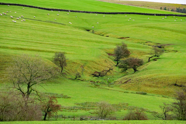 The Yorkshire Dales is full of unique hillocks and tributries. This one however is very unusual, even by Dales standards.