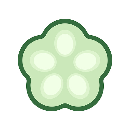 Okra, Okura Okazu. Healthy vegetarian food. Flat vector illustration.  green okra slices on white background.