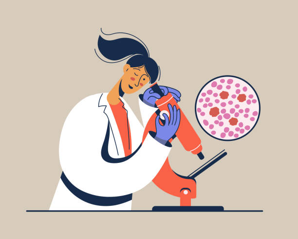 illustrazioni stock, clip art, cartoni animati e icone di tendenza di scienziato che guarda attraverso il microscopio in un laboratorio medico. laboratorista femminile che studia campioni di sangue - biologo