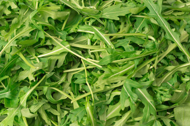 istock Fresh leaves of arugula as a background. 1935564383