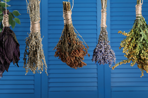 Bunches of different dry herbs hanging on blue wooden background
