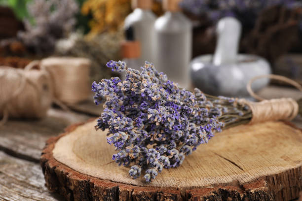 istock Dry lavender flowers on wooden table, closeup. Medicinal herbs 1935570236