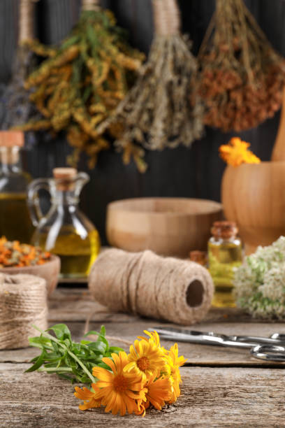 istock Calendula flowers, thread and scissors on wooden table, closeup. Medicinal herbs 1935571266