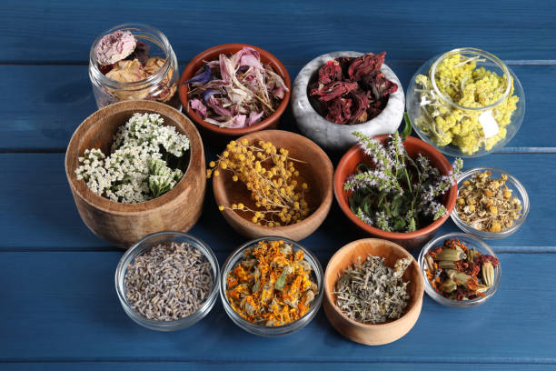 istock Many different herbs on blue wooden table 1935572837