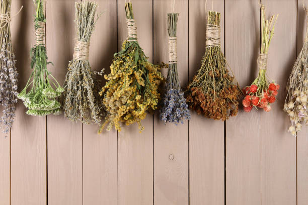 istock Bunches of different medicinal herbs hanging on wooden background. Space for text 1935573373