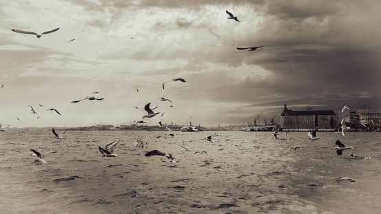 The Historical Haydarpasa Station Building and Dockyard on Kadikoy coast with flying seagulls during the early morning hours in a windy winter day. Filtered image processed vintage effect.