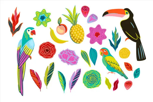 Vector illustration of A set of bright illustrations of tropical birds, flowers and fruits. Isolated elements. Vector