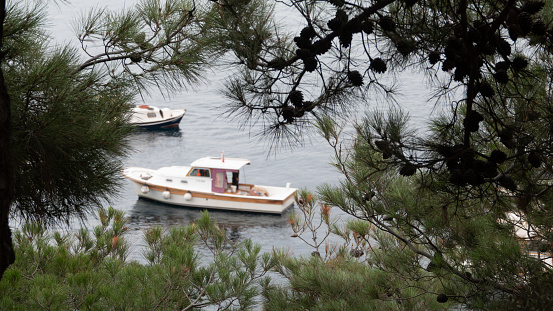 Little fishing Boats  in the Aegean sea on the background of the pine forest. Kilitbahir, Çanakkale, Turkey