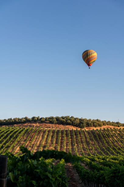 istock Hot air balloon Wine Country 1935591332