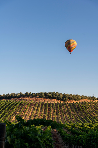 Hot air balloon Wine Country