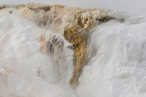 Closeup photograph of Canary Spring at Mammoth Hot spring in winter.