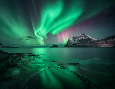 Aurora borealis over the sea, snowy mountains at starry winter night. Northern Lights in Lofoten islands, Norway. Sky with polar lights. Landscape with aurora, rocky beach, sky, reflection in water