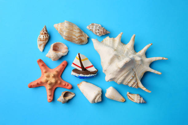 istock Beautiful starfish, decorative ship and shells on blue background, flat lay 1935613256