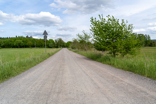 Gravel road between grass and trees in the landscape