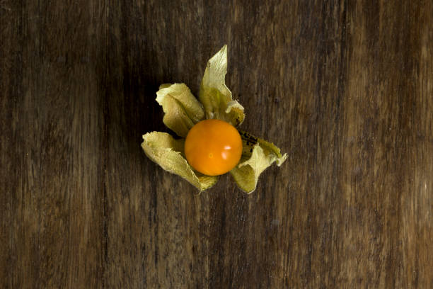 Ripe Physalis ready to consume in cential shot exotic fruit with pectin