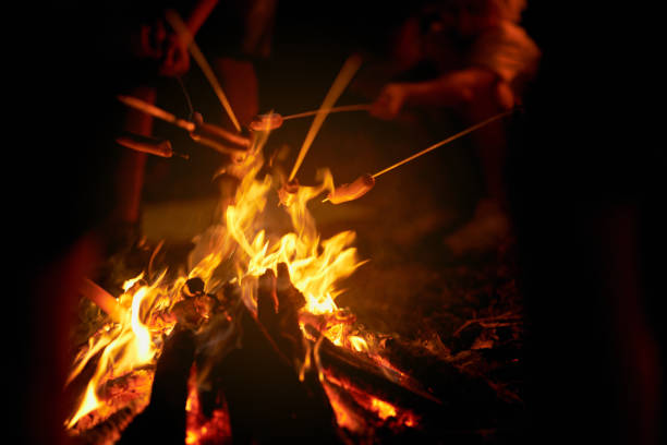 Unrecognizable people cooking sausages over open fire at campsite. Close up view of bright flames with firewood and branches burning, making sparks at dusk outdoors. Concept of nature cooking.
