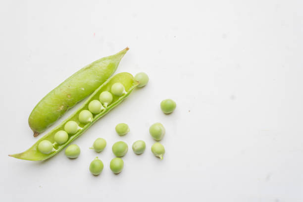 The morphology of peas
