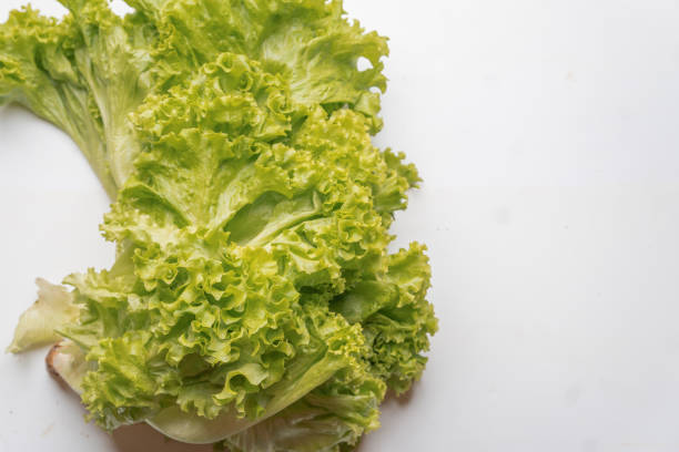 istock fresh lettuce leaves on a white background 1935645335