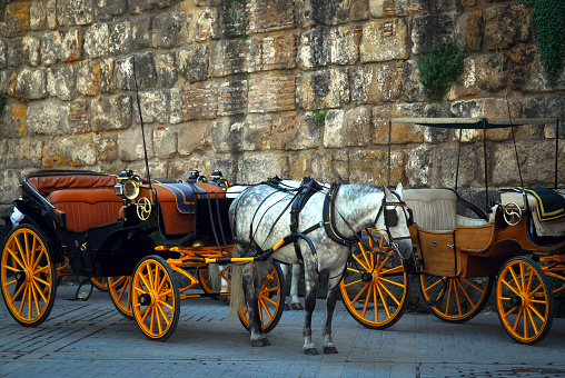 carriage ride next to the cathedral of Seville