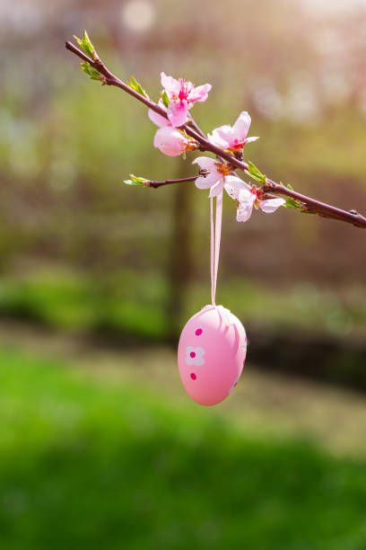 istock Easter greeting card with cute pink Easter egg hanging on a branch of a blooming cherry tree. 1935663913