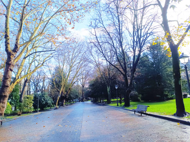 istock San Francisco park during winter, Oviedo 1935718964