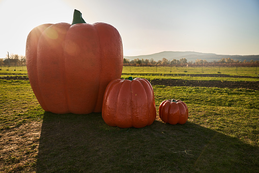 Huge artificial glossy pumpkins on green field for advertising during harvesting season. Front view of giant pumpkins sitting on ground in front of scenic hills outside. Concept of harvest, fall.