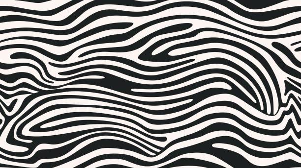 istock Tiger or Animal print. Monochrome smooth trellis. Vector animal print. Waves. Animal print. Wavy abstract seamless background pattern. 1935896084