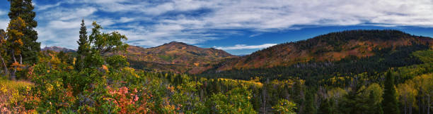 istock Timpanogos back panoramic views, Willow Hollow Ridge, Pine Hollow Trail hiking trail Wasatch Rocky Mountains, Utah. United States. 1935948586