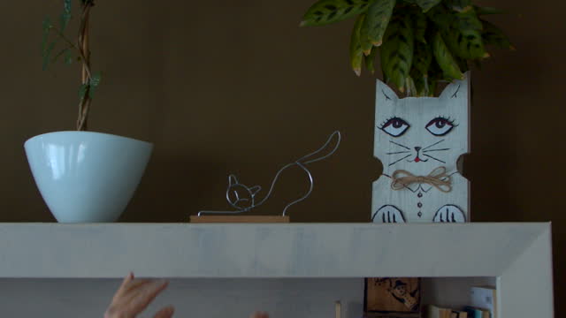 Feng shui home decor arranging for positive energy. Cat symbolism.