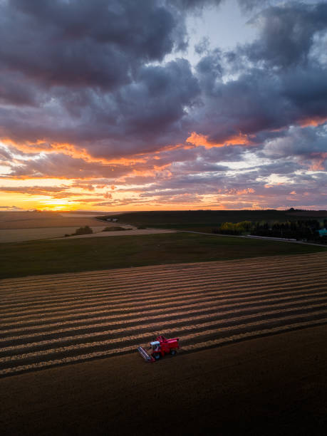 Last Light in the Canadian Prairies