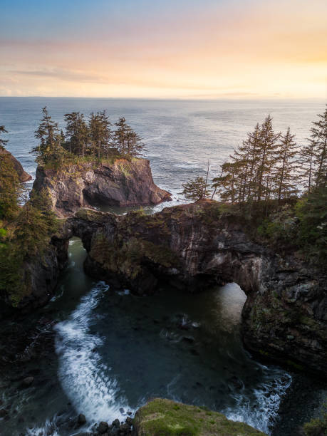 istock Natural Bridges along the Oregon Coast 1936042280