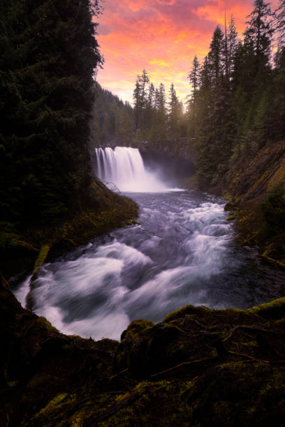 istock Fiery Skies of Koosah Falls 1936042525