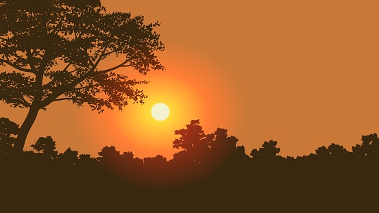 Forest silhouette at sunset. Vector nature background