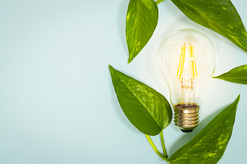 natural sources of electricity, leaves surrounding the light bulb, ecological system, copy space, green energy, creative light background, flat layout