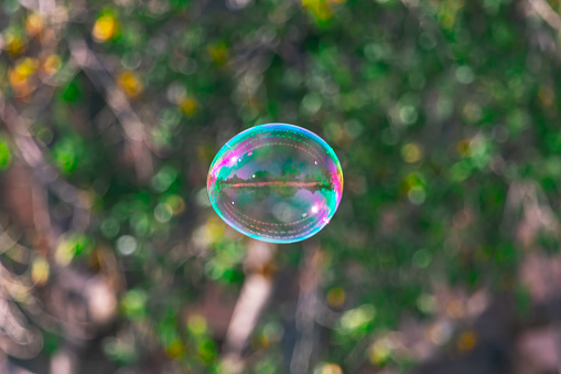 Soap bubble at green natural background . Soap bubbles floating in the air.