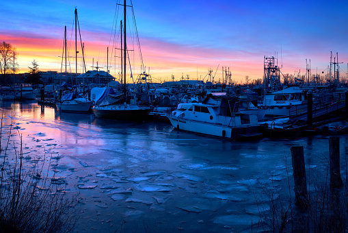 Ice and snow at the Steveston Harbor Authority marina at its Paramount site on the Fraser River. Richmond, British Columbia, Canada near Vancouver. January 15, 2024.